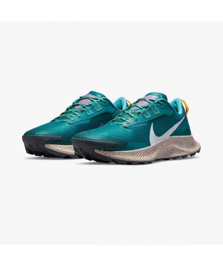 Nike Running Pegasus Trail 3