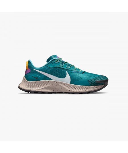 Nike Running Pegasus Trail 3