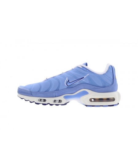 Nike Air Max Plus 'Requin Bleu'