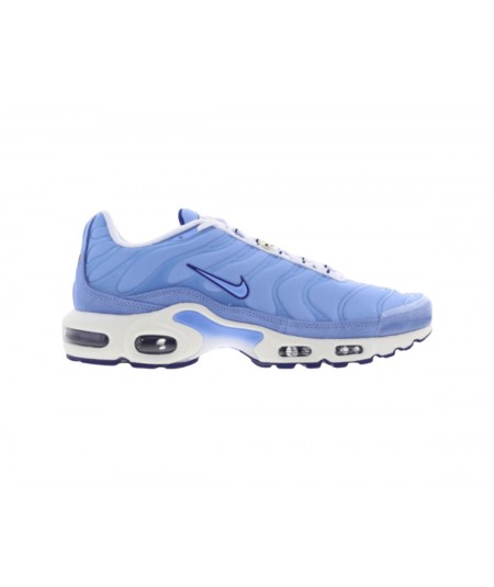 Nike Air Max Plus 'Requin Bleu'