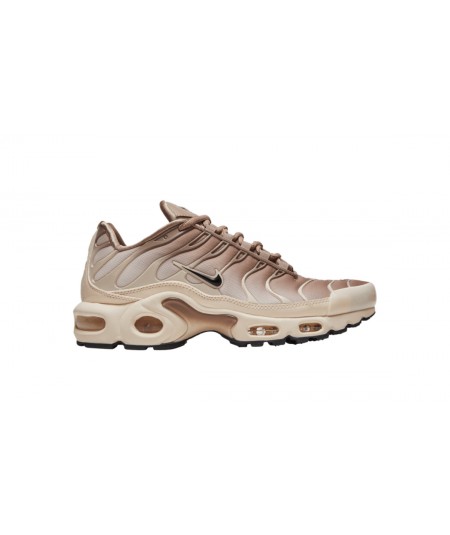 Nike Air Max Plus 'Boue Ice'