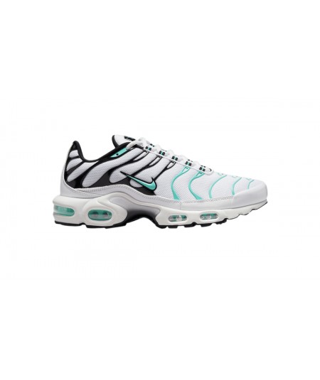 Nike Air Max Plus x Atmos