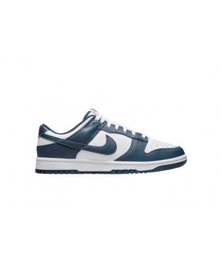 Nike Dunk Wmns low ‘Valerian Blue’