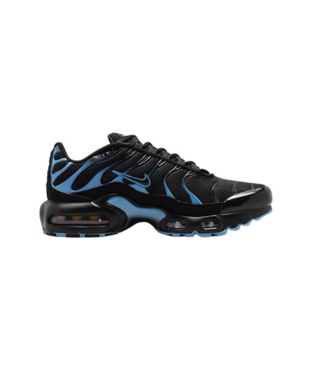 Nike Air Max Plus Gs