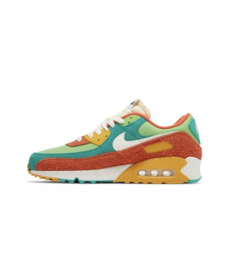 Nike Air Max 90 Se