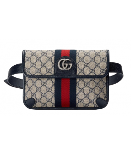 SAC CEINTURE OPHIDIA