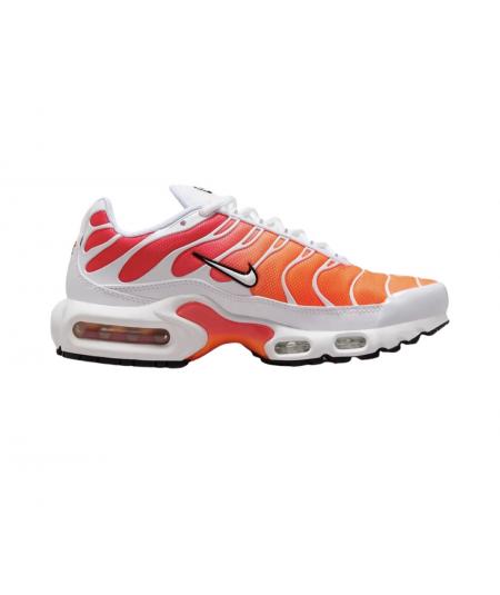 Nike Air Max Plus