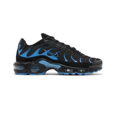 Nike Air Max Plus 'Bleu Obscur'