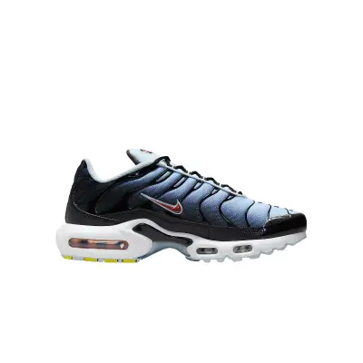 copy of Nike Air Max Plus