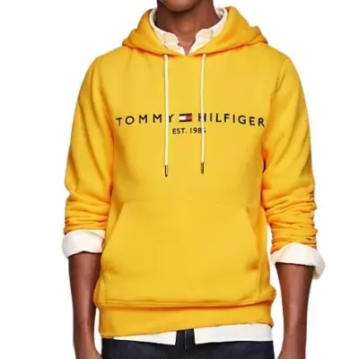 SWEAT À CAPUCHE TOMMY HILFIGER COUPE STANDARD À LOGO