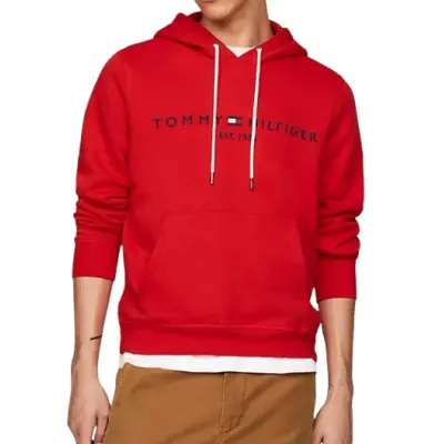 SWEAT À CAPUCHE TOMMY HILFIGER COUPE STANDARD À LOGO