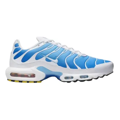 copy of Nike Air Max Plus