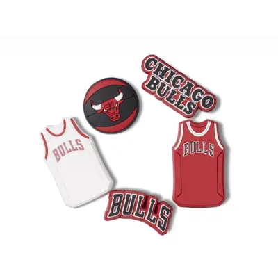 copy of PINS CROCS Souris