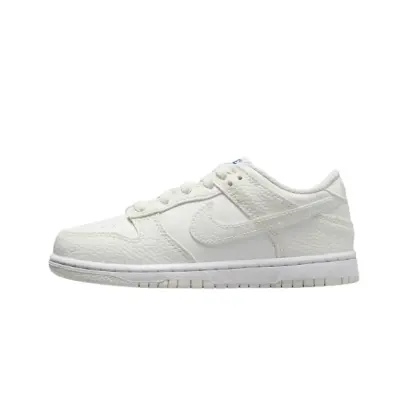 copy of Nike Dunk Low