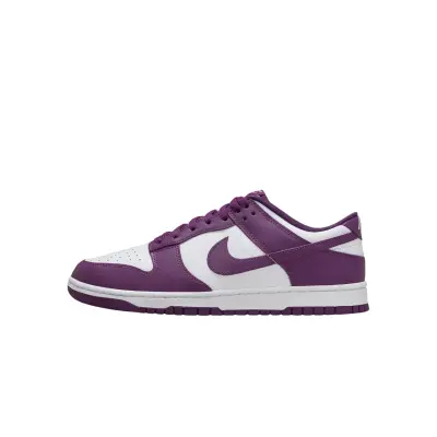 copy of Nike Dunk Low Retro