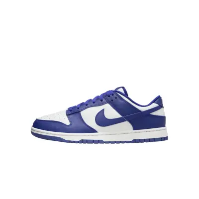 copy of Nike Dunk Low Retro