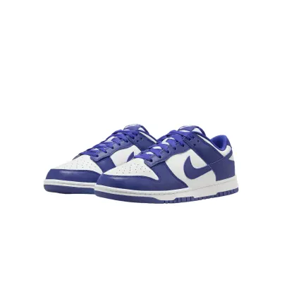 copy of Nike Dunk Low Retro