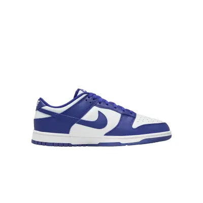 copy of Nike Dunk Low Retro